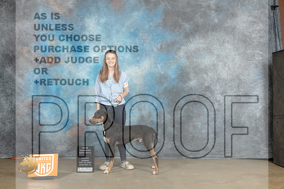 LCLD #262 Sat BMCH Judge Chandra MartinMJP_2747_UKCLNVWMAY2023_HR3