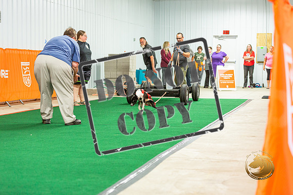 Weight Pull Thurs_JJL_0657-Premier2023