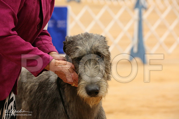 Irish-1330-Tex2013 HR3