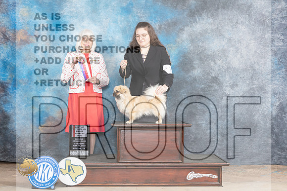 Judge #11 Sat BOSWB Judge Jan PaulkMJP_0800_Abilene_2023_HR3