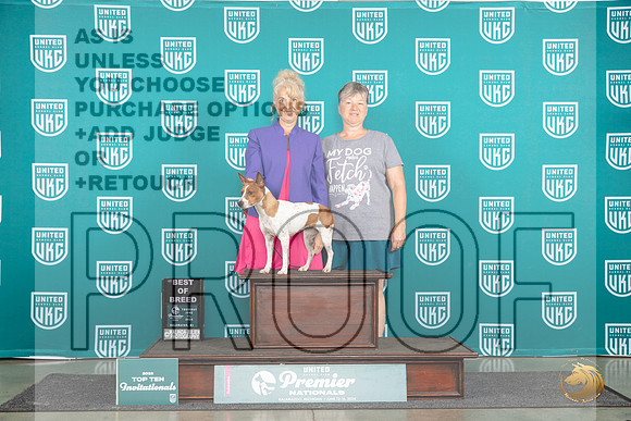 Rat Terrier #880 Thur T10BOB Judge Tracy Karsjens__JP_1610_Premier_2024_HR3