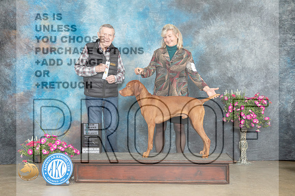 Vizsla #21 Sat SDGCH Judge Terry Stacy_MJ_6643_ARK2023_HR3