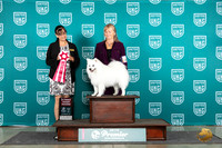 American Eskimo #1065 Fri AG2 Judge Stephanie Mueller