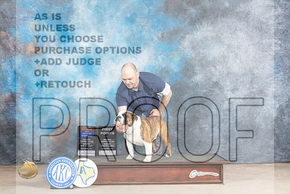 Bulldog #5 Sun BOSBOW Judge Ronald HornMJP_1291_Abilene_2023_HR3