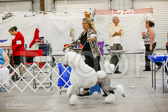 _JJ_5118-AlamogordoOct2014-HR3