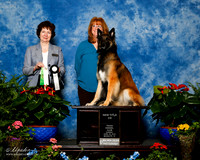 Belgian Tervuren #40 Sun NT CD Chrystal Pamela and Michelle Edling Judge Donna Eddins