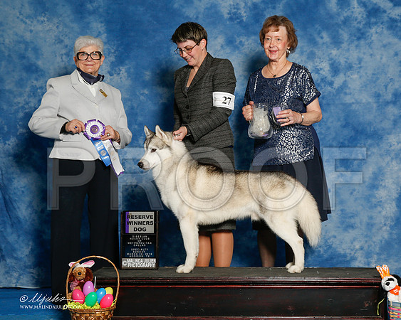 _R1_8300-2-HuskySltyMar2016-HR3