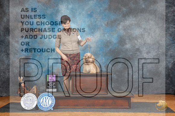 Russian Tsvetnaya Bolonka #487 Fri BMISC Judge Anne Barlow__JP_7245_MARSHALL_2024_HR3