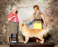 Golden Retriever #16 Fri WB Roberts Sandra and Debra Keen Agent Diane Mueller Judge Ann Hearn