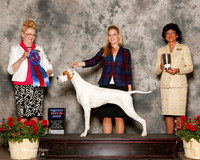 Pointer #6 Sun RBIS Johnston Jane Megan Lane John Kearny Richard Agent Megan Johnston Judge Nancy Smith Hafner