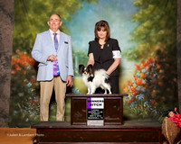 Papillon #12 Sun WB Cox Paula Judge Joe Walton