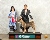 Shikoku #167 Sat G2 Judge Diana Brumbaugh