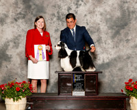 Cocker Spaniel Parti #17 Sat BOV Bowen Linda and Tim Bowen Judge Kathleen Egeland Brock