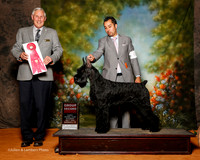 Giant Schnauzer #6 Sat G2 Chris Reed and Holly and Maryann Bisceglia and Mike Reese Agent Alfonso Escobedo Judge Brian Meyer
