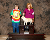 French Bulldog #8 Sat BOB Edge Brandon and Allen Weinberg and Derek Kowata Judge Doris Cozart
