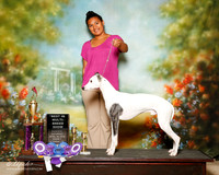 Whippet Sat S1 BIS Carrie Riley