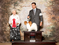 Papillon #9 Sun G2 Mosing Madeline and Breeders Agent Brian Livingston Judge Paula Hartinger