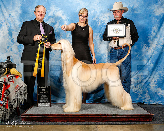 _ST_4627-2-AfgBeltonOct2014-HR3