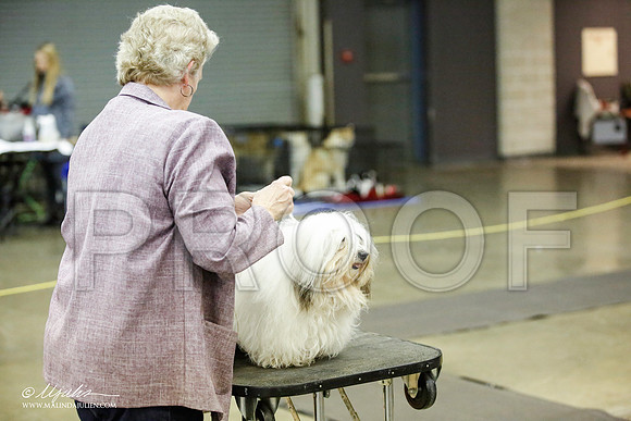 _JJ_5417-BeltonJan2015IABCA-HR3