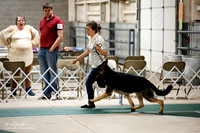 German Shepherd Dog Sat S1 Ring