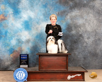 Havanese #9 Sat G1 Judge Peggy McIlwaine