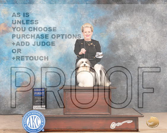 Havanese #9 Sat G1 Judge Peggy McIlwaine-MMJ_4296-Abilene2022-HR3