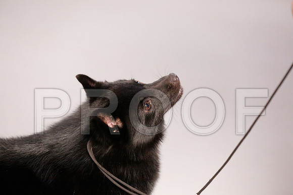 _RH_8376-CarlrolltonSept2014-HR3