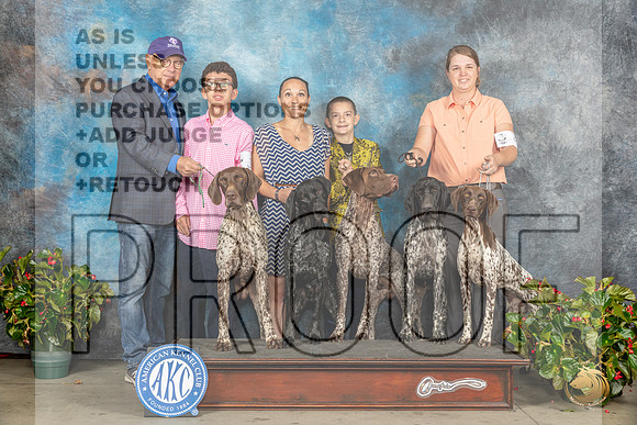 German Shorthaired Pointer Sun FamilyMJP_9650_SA2023_HR3