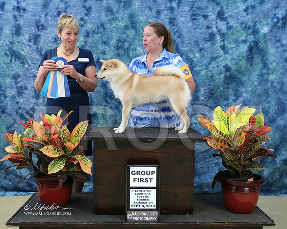 shib-6387