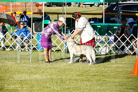 _JN_9853-AlamogordoOct2014-HR3