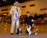 Shetland Sheepdog #48 Thrs Maj WB Gleason Mendy & Guy A & Thelma J Mauldin & Catheri Judge Mr Arley D Hussin