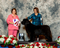 Newfoundland #12 Fri BOW Maj Rader Laura Judge Ms Nikki Riggsbee