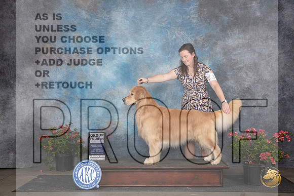 Golden Retriever #35 Sat G4 Judge Wendy G Willhauck__JP_5246_San Antonio_2024_HR3