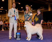 Samoyed #7 Sun BOW Dotson D Diane & Steven & Karla Baker Agent Michael Brantley PHA Judge Mr David W Haddock