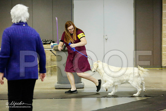 _RH_1039-BeltonJan2015IABCA-HR3