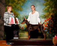 Doberman Pinscher #6 Sun 4-6mo G1 Prez Elizabeth Anne Judge Ruth Ronrback