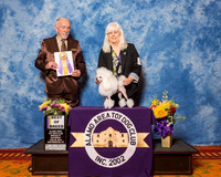 Poodles Toy #7 Sat BOB King Gordon & Alma King Judge Dr Roger S Pritchard