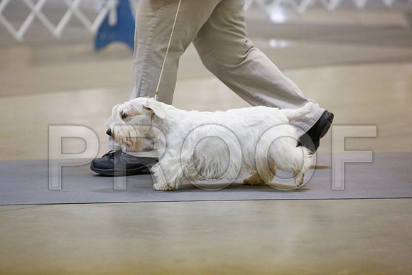 _JN_0136-AmarilloSept2014-HR3
