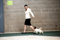 Papillon Sat S1 Ring