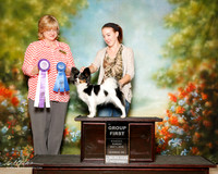 Papillon Sun G1 KC Corn