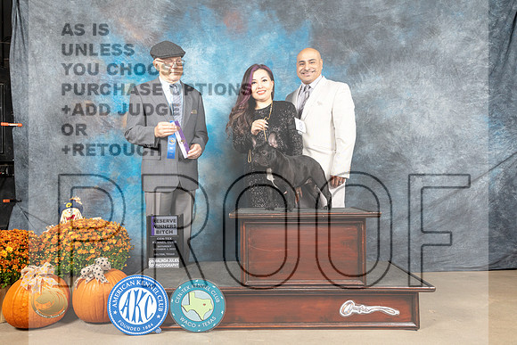French Bulldog #8 Sat RWB Judge Dr Daniel Dowling_MJ_5662_Belton_2022_HR3