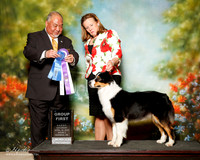 Australian Shepherd Sat S2 G1 Maggie Pryor