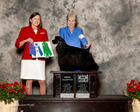 Cocker Spaniel Black #16 Sat Maj BOW NC Ahlquist Kristi Judge Kathleen Egeland Brock