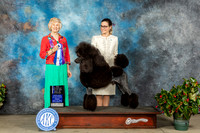Eleanor Moffett SA2023