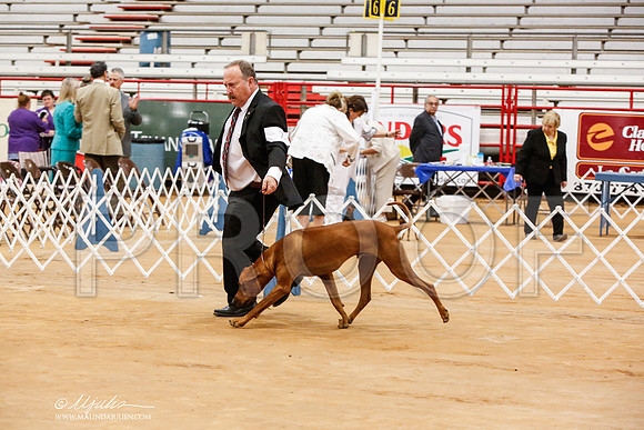 _JN_6389-TxArJun2014-HR3