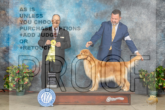 Golden Retriever #48 Sat G3 Judge Jay RichardsonMJP_9493_SA2023_HR3