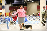 Pembroke Welsh Corgi Sun Ring