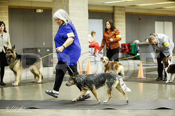 _JJ_7046-BeltonJan2015IABCA-HR3