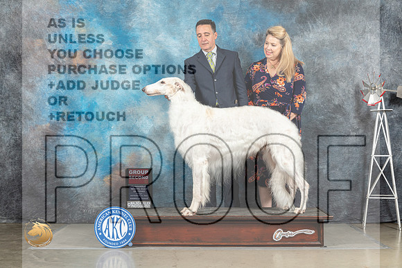 Borzoi #5 Fri G2 Judge Debra Thornton_MJ_4235_Amarillo_2022_HR3