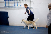 Best of Breed #34 Sun Ring